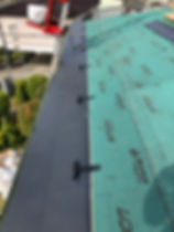 IMG_1563.jpeg