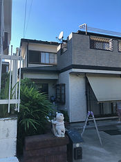 IMG_1712.jpeg