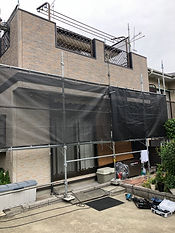 IMG_1657.jpeg