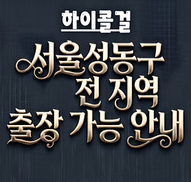 서울성동구출장샵