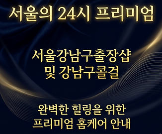 서울강남구출장샵
