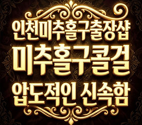 미추홀구출장샵