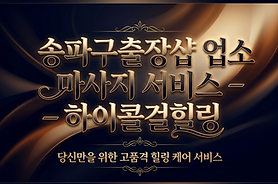 서울송파구출장샵