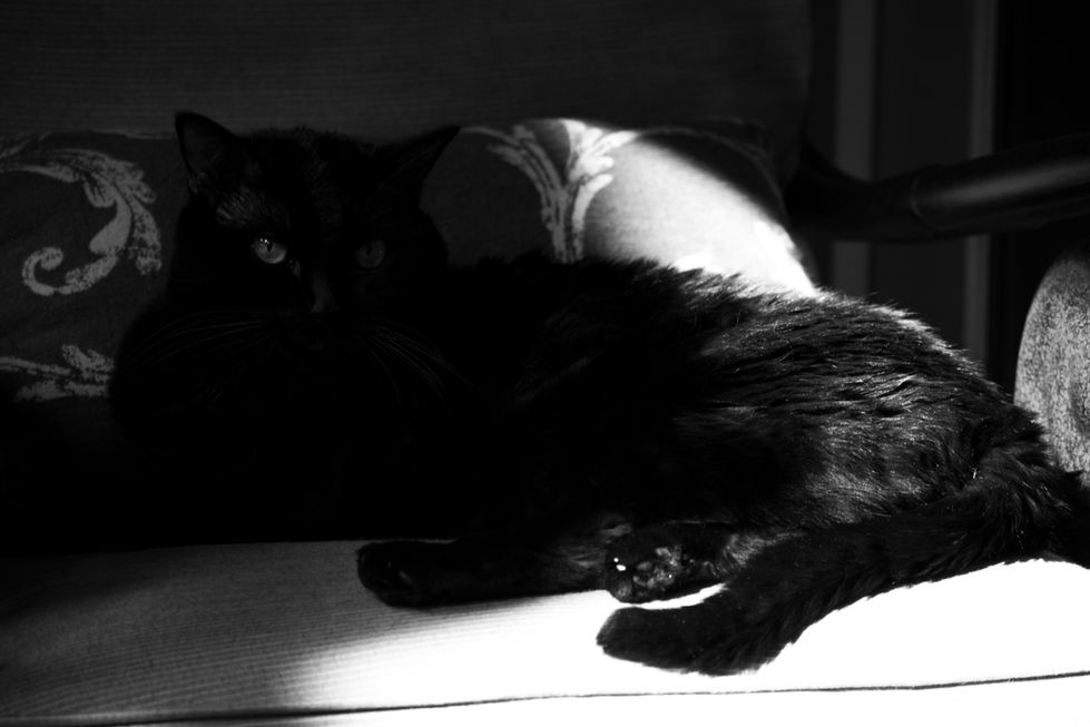 DSC_0080_Original