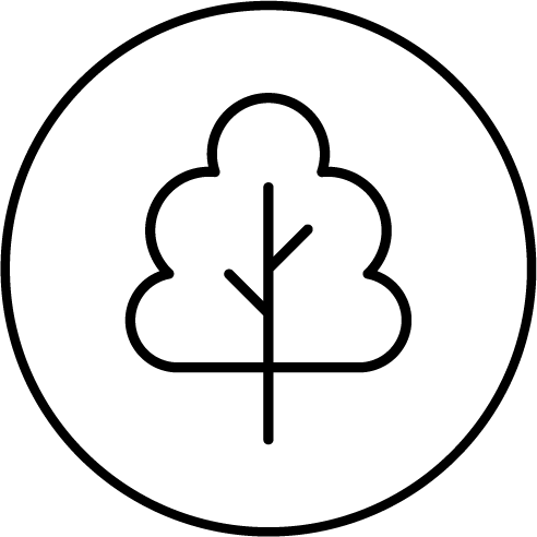 tree-icon.png