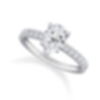 Pavé Shank Solitaire Diamond Ring