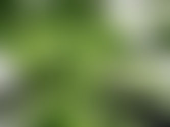 Green Funerals