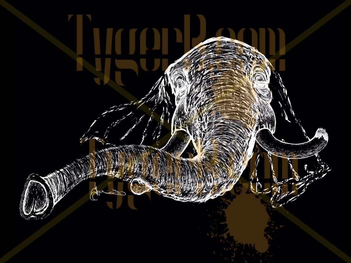 "Long Trunk" (Black BG) ©TBM2019 TygerB.com