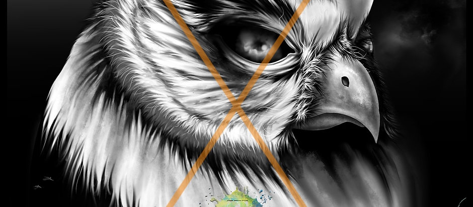 "Owl" 3 of 3 ©TBM2023 TygerB.com