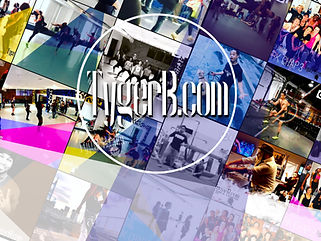 tygerbcom