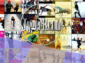 tyger b com