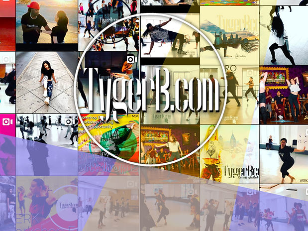 tyger b com
