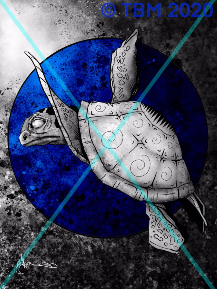 "Turtle Heights" ©TBM2020 TygerB.com