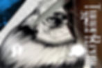 owl art 3 -3