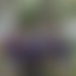  Hoy ducha en piscina municipal ¡!! Me congelooo