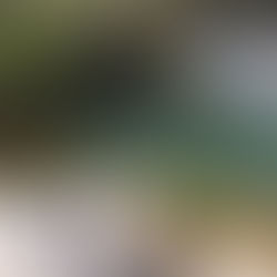 Today we play "bolo palm"