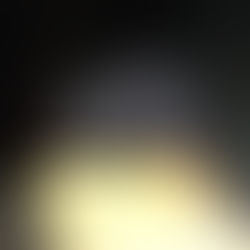 Sometimes you win and sometimes you lose...