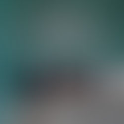 Descubrimos los frontones.