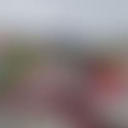 Solidarity popular race do Reis in Barreiros.