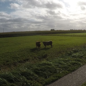 Dejamos Alemania, destino: España