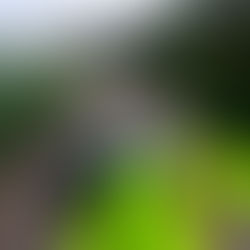 Santa Baia da Devesa. Une promenade pleine de paix...