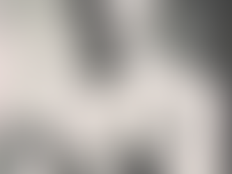 Mitsuyo Maeda Brazilian Legacy