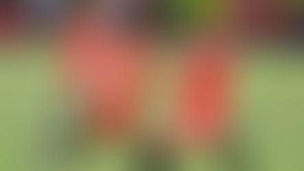 Resultados: 3 y 4 de mayo 