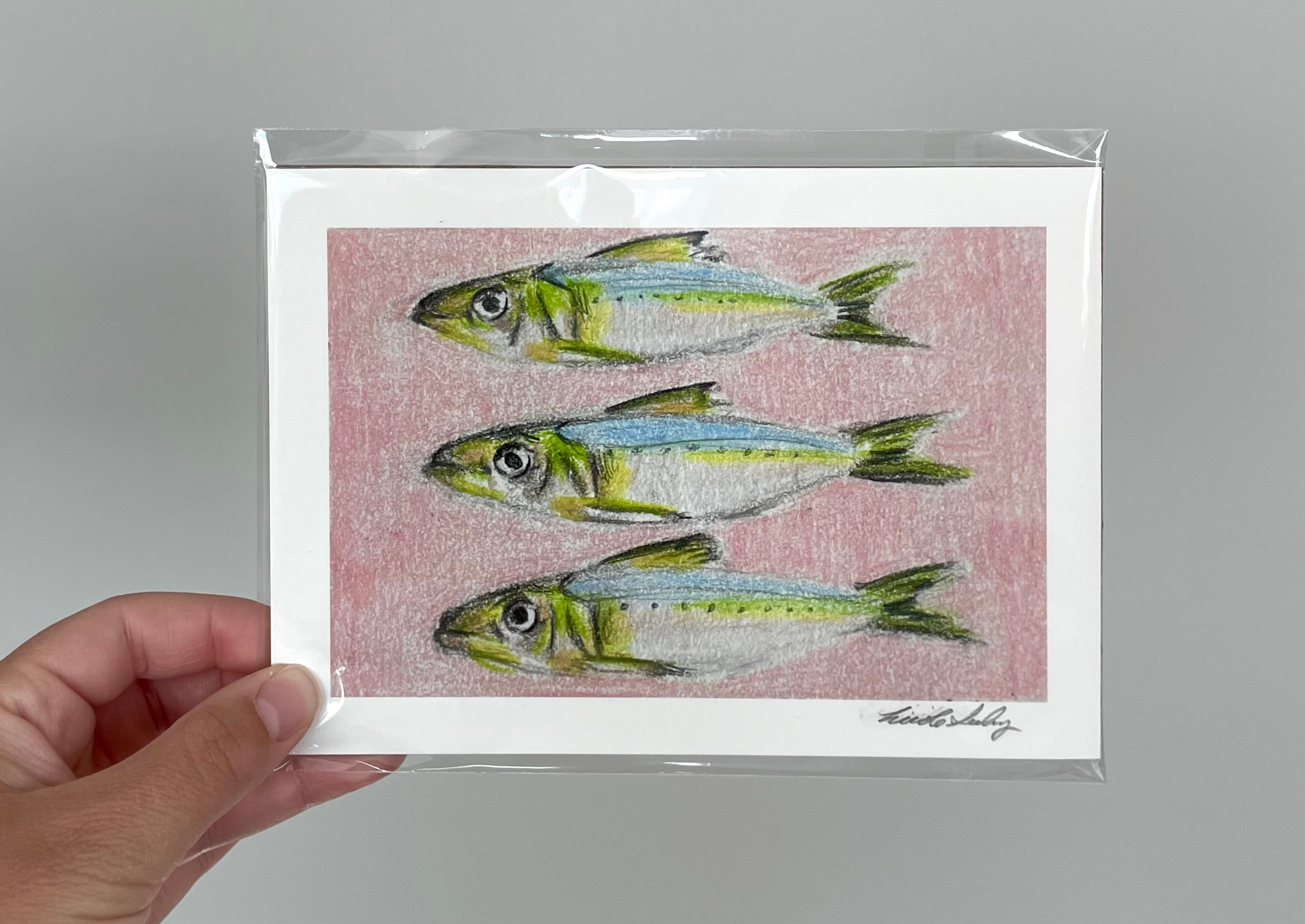 Sardine Pink Background Print