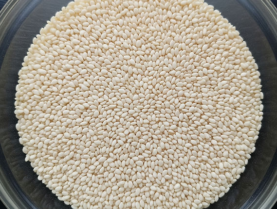 Sesame Seeds