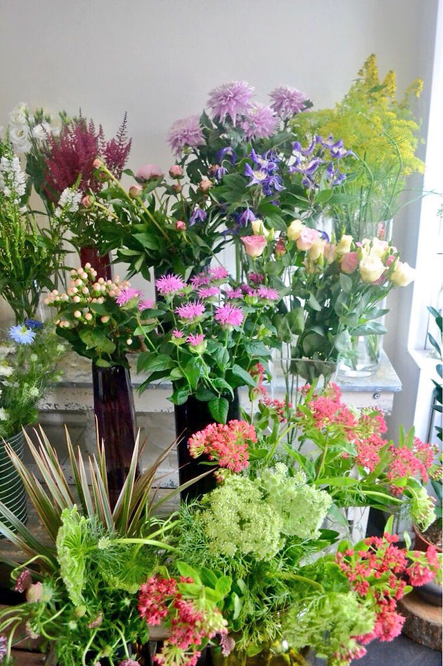 Beautiful Blooms