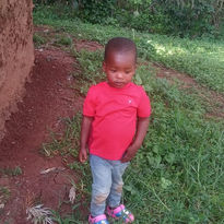Shelly