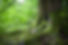 carbon-footprint-5.jpg
