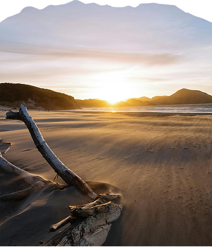 A beautiful New Zealand beach at sunset, representing the environmental benefits of a strong sustainability strategy for small and medium-sized enterprises.