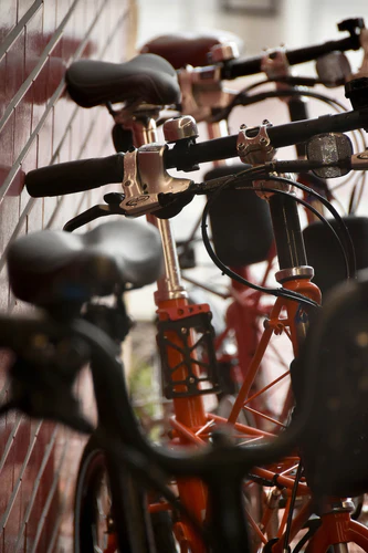 Bike Sheds The Latest Bump in the Road