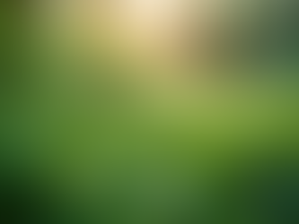 La historia reciente de la organización se define por un compromiso con la "atención integral de las necesidades de la comunidad"