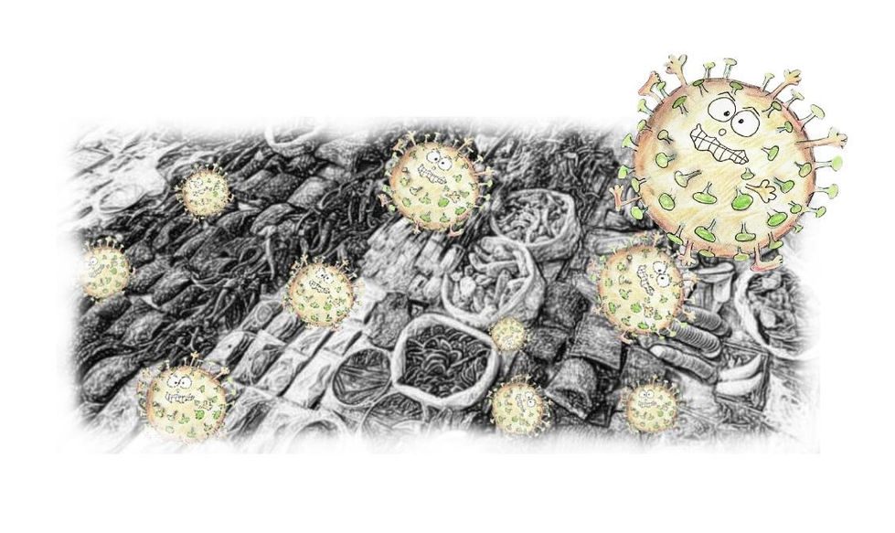 13. Markt verseucht a.jpg