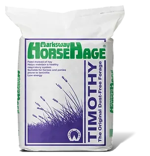 HorseHage-Timothy-1.png.webp
