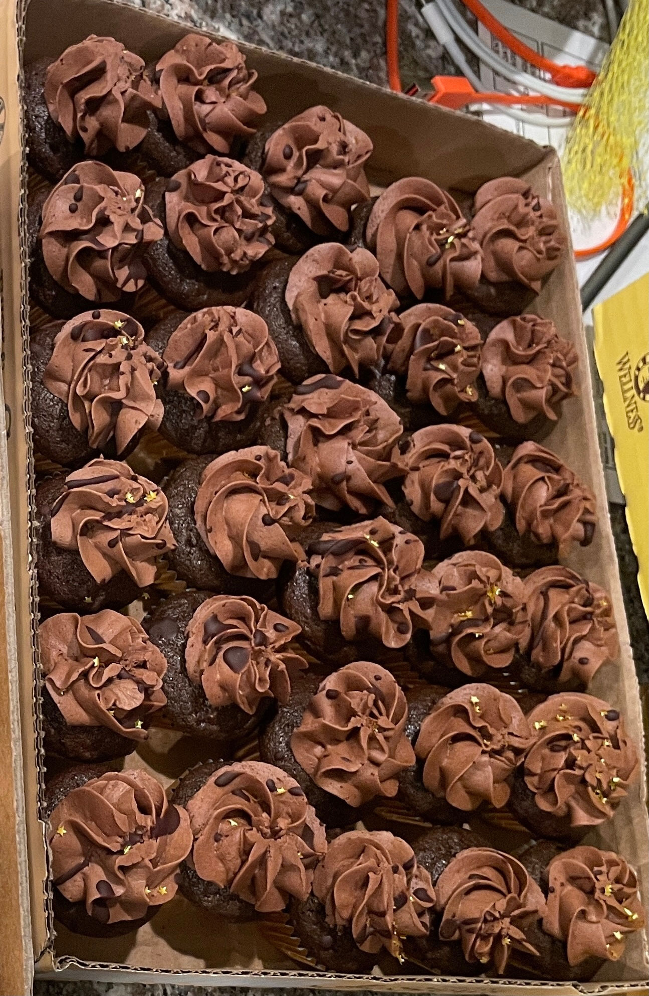 Chocolate Minis