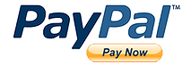 paypal pay now button