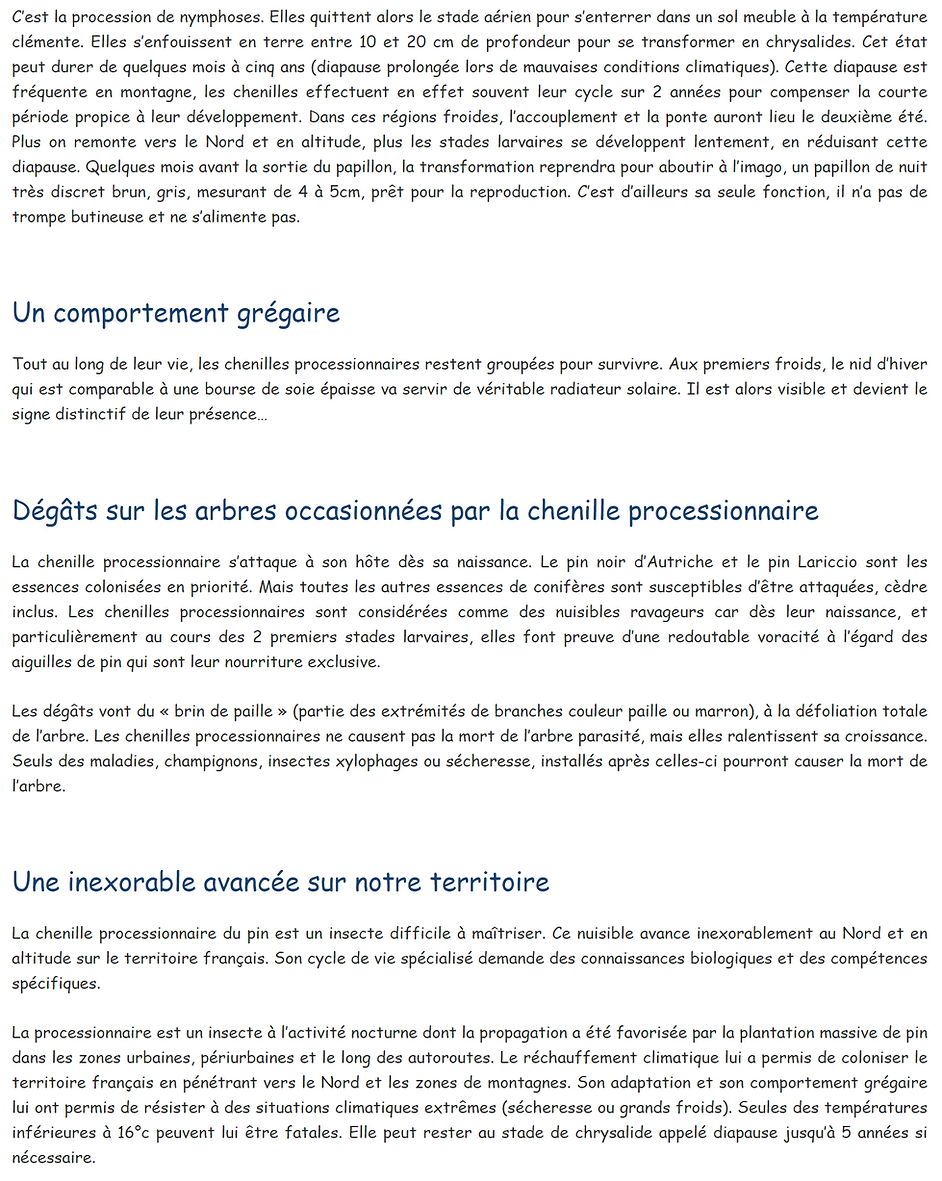 fiche de la chenilles 1