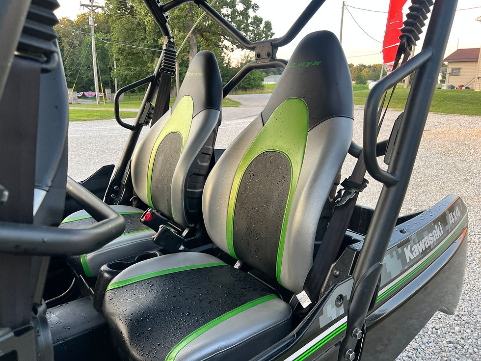 Thumbnail: 2019 Kawasaki Teryx4 LE