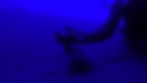 GX011848_edited.jpg