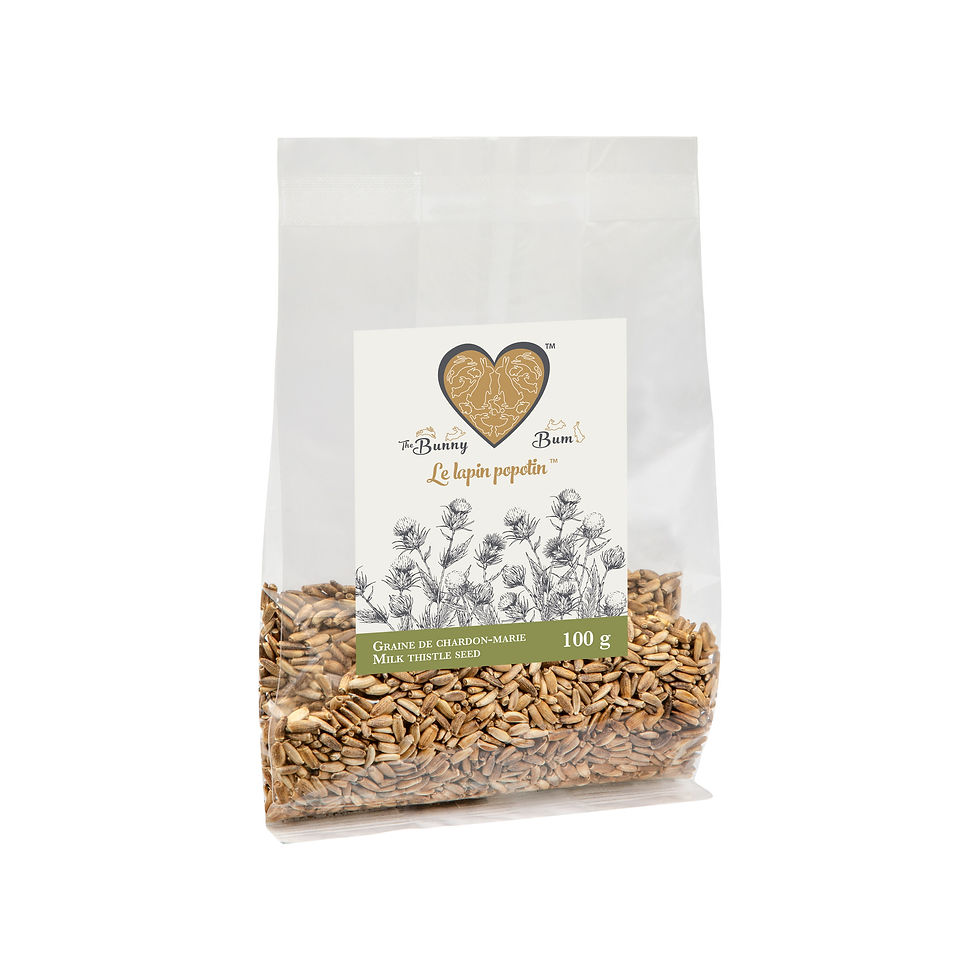 Thumbnail: milk thistle