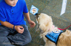 19956969_1753781831302744_178539393151013844_o