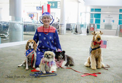 19621232_1742144975799763_8320208282632449395_o