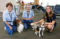 20024113_1753781671302760_1856593744432439992_o