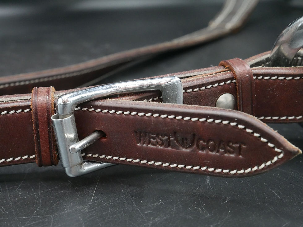 Miniature : COLLIER DE CHASSE WEST COAST