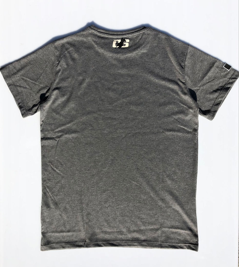Miniature : T-SHIRT HOMME OSWSA