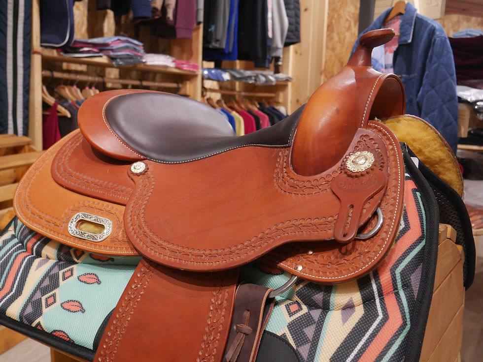Miniature : SELLE POOL'S REINER