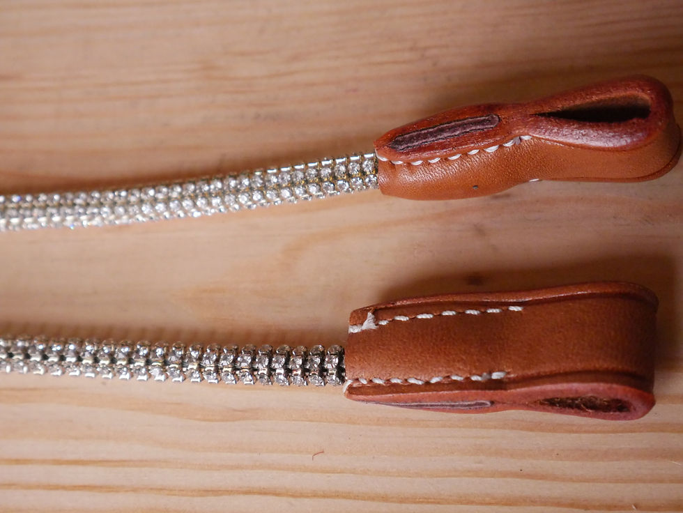 Miniature : OREILLES AVEC STRASS